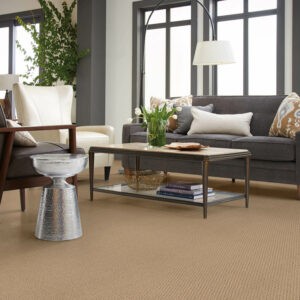 Living room Carpet flooring | Homespun Furniture | Riverview, MI