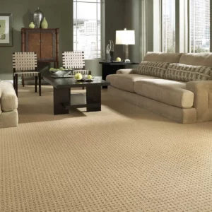 Living room carpet | Homespun