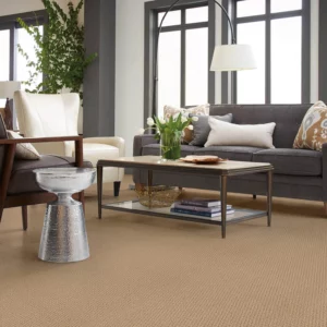 Easy to clean carpet | Homespun