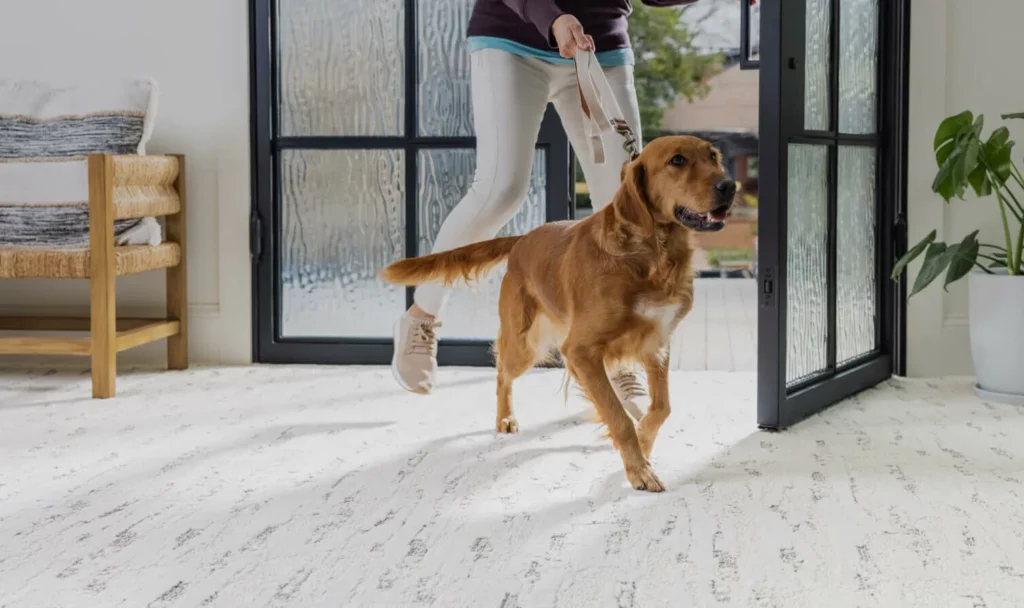 Pet friendly carpet | Homespun