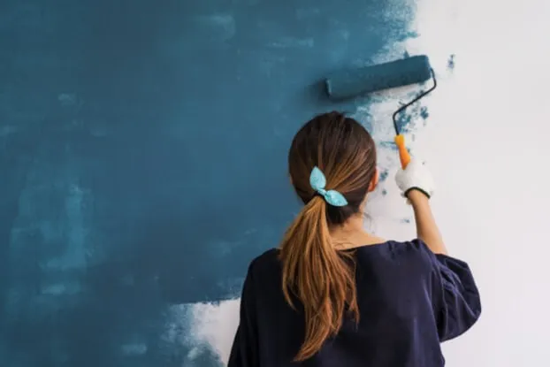 paint Wall paint | Homespun
